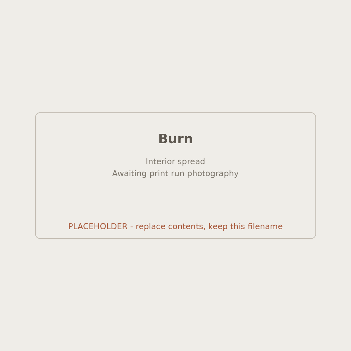 Burn - Sam Jameson Book Eight